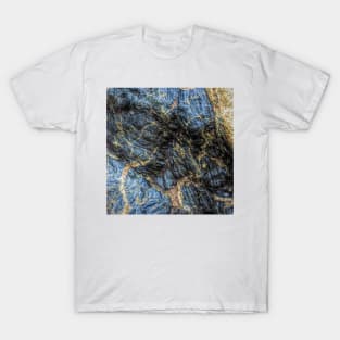 tintagel bolder T-Shirt